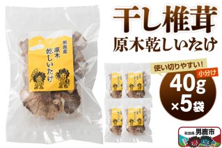 干し椎茸 原木乾しいたけ 40g×5袋 男鹿産 男鹿ゴルフクラブ [しいたけ 椎茸 シイタケ 乾物]|11711