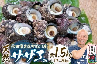 サザエ 約1.5kg 17個〜20個前後入り 秋田県男鹿市 つりショップ海風 [さざえ 海鮮 BBQ 天然 刺身 栄螺 つぼ焼き壺焼き つまみ 国産]|11823