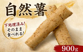 [7日以内発送/下処理済み] 静岡県産自然薯 300g × 3パック じねんじょ とろろ 野菜 冷蔵 | pt086-19-3