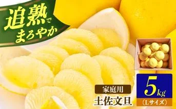 [先行予約]土佐文旦の創始 宮地文旦園の土佐文旦 小玉(L)約5キロ[2027年3月上旬〜4月下旬]くだもの 柑橘類 デザート ギフト 贈り物[宮地文旦園] [BQBP010]