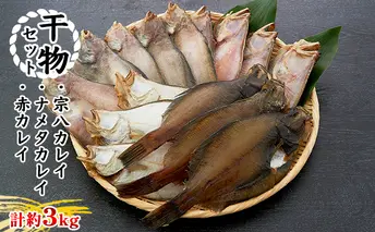 干物セット ふぞろいな仲間たち 魚貝類 加工食品