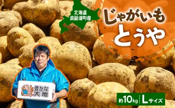 北海道産 青野農園 じゃがいも とうや Lサイズ 約10kg 10月初旬~12月下旬頃お届け 北海道 ジャガイモ トウヤ 馬鈴薯 ポテト 芋 いも イモ 黄色 旬 野菜 農作物 産地直送 お取り寄せ 送料無料 国産