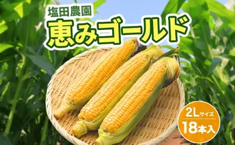 北海道産 とうもろこし 恵味 ゴールド 2L 18本 8月中旬~9月末頃お届け 朝採り めぐみ トウモロコシ コーン スイートコーン 甘い 新鮮 先行受付 夏 野菜 産地直送 送料無料 塩田農園 北海道 洞爺湖町