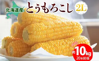 北海道産 とうもろこし 2L 約10kg 20本前後 2025年8月下旬~9月上旬頃お届け とうきび 新鮮 旬 トウモロコシ スイートコーン 産地直送 送料無料 北海道 洞爺湖町