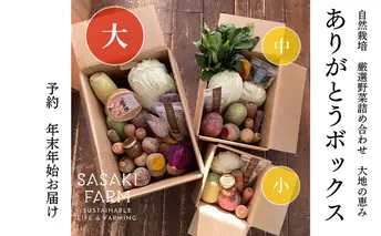 旬の野菜詰め合わせ ~ありがとうBOX2025・大~ 12月1日~1月31日頃お届け 北海道 野菜 やさい 詰め合わせ セット 北海道産 常備菜 加工品 自然栽培 佐々木ファーム 産地直送 洞爺湖町