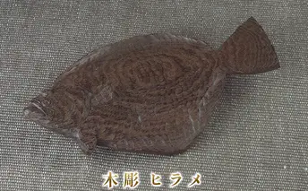 木彫 ヒラメ インテリア 工芸品