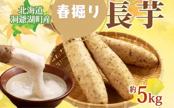 北海道 洞爺湖町産 春掘り 長芋 約5kg 先行受付 4月中旬~下旬にお届け 長いも ながいも 芋 山芋 山うなぎ とろろ ステーキ 千切り 万能 旬 秋 野菜 根菜 常温 塩田農園 洞爺湖町