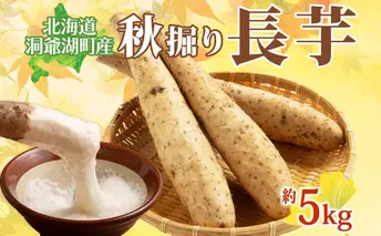 北海道 洞爺湖町産 秋掘り 長芋 約5kg 先行受付 2025年 11月中旬~下旬にお届け 長いも ながいも 芋 山芋 山うなぎ とろろ ステーキ 万能 旬 秋 野菜 根菜 常温 塩田農園