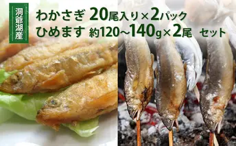 洞爺湖産わかさぎ(20尾入り×2P)・ひめます2尾(約120~140g/1尾)セット 北海道産 ワカサギ わかさぎ 川魚 魚介類 産地直送 冷凍 お取り寄せ グルメ 料理 天ぷら フライ とうやマルシェ 北海道 洞爺湖町