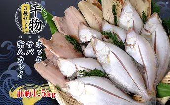 干物3種セット(ホッケ・サバ・宗八カレイ) 計約1.5kg ※2024年2月より順次出荷 魚貝類 鯖