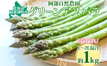 北海道 洞爺湖町産 グリーンアスパラ 約1kg L~2L混合 5月下旬頃お届け 2026 先行受付 路地 アスパラ アスパラガス 野菜 農作物 サラダ 天ぷら 新鮮 国産 人気 お取寄せ 産地直送 冷蔵 洞爺湖