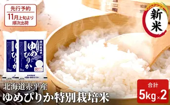 【先行予約2025年産米・11月上旬より順次出荷】北海道赤平産 ゆめぴりか 10kg (5kg×2袋)特別栽培米 米 北海道 お米 