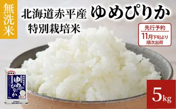 【先行予約2025年産米・11月下旬より順次出荷】無洗米 北海道赤平産 ゆめぴりか 5kg 特別栽培米 米 北海道 お米 ふるさと納税 