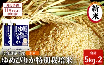【先行予約2025年産米・11月上旬より順次出荷】玄米 北海道赤平産 ゆめぴりか 10kg (5kg×2袋) 特別栽培米 米 北海道 お米 ふるさと納税 
