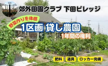 下田ビレッジ農園1年ご利用券 体験チケット チケット 
