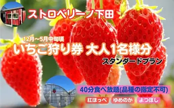 ストロベリーノ下田いちご狩り券1名様（スタンダードプラン） 体験チケット チケット 