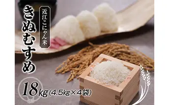 近江こにゃん米「きぬむすめ」18kg（4.5kg×4） 米/きぬむすめ 