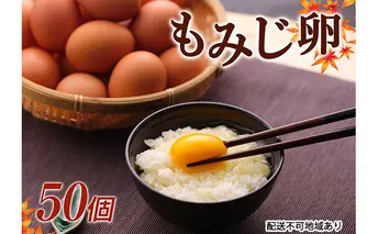 【高級赤玉・安全飼料使用】湖南市産もみじ卵　50個 