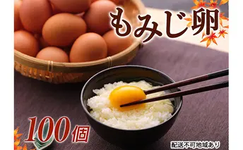 【高級赤玉・安全飼料使用】湖南市産もみじ卵　100個 