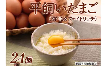 平飼い卵（弥平＆ファイトリッチ）24個　湖南市野菜で育った鶏の栄養豊富な卵 