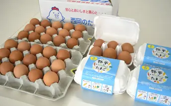 もみじ卵30個と平飼い卵(弥平＆ファイトリッチ）24個 