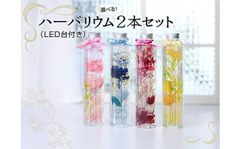 ハーバリウム2本（青色・赤色）＆LED台 植物 インテリア インテリアグッズ 