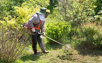【要事前連絡】「お庭の草刈り（50平方メートル）」サービス＜愛知県日進市内限定＞ チケット 