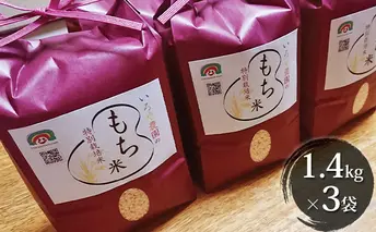 特別栽培米　日進市産もち米　1.4kg×3袋 餅米 