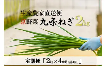 【4か月定期便】生産農家直送 京野菜・九条ねぎ2kg〈定期便 ねぎ ネギ 葱 九条ねぎ 京野菜 京都 新鮮 甘い 農家直送 野菜〉 4ヶ月 4回 