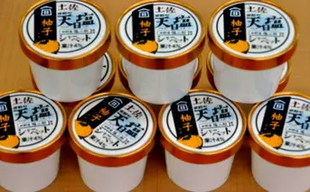 塩姫シャーベット 柚子 100ml×10個 柚子 ミネラル 田野屋塩二郎 天日塩 アイス あいす シャーベット 冷凍