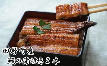 田野町産うなぎの蒲焼き（大）2本 タレ付き 山椒付き うなぎ 鰻 ウナギ 蒲焼き かば焼き 無頭 おいしい 国産 お取り寄せ 冷凍 配送
