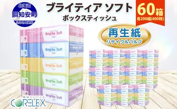 ブライティア ソフト ボックスティッシュ 200組 400枚 60箱 日本製 まとめ買い ティッシュ リサイクル 長持 防災 常備品 日用雑貨 消耗品 生活必需品 備蓄 ペーパー 紙 北海道 倶知安町 日用品 