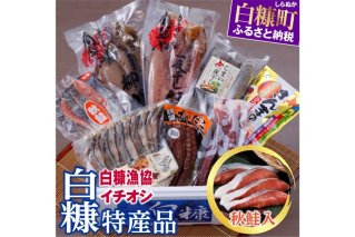 白糠漁協イチオシ白糠特産品セット＜時鮭入＞_I020-1617