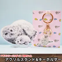 10-503 日和のアクリルスタンド・キーホルダー【アザラシシーパラダイスグッズ】