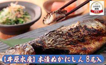にしん 北海道 本漬 ぬか ニシン 8尾 セット 井原水産 漬魚 小分け 個包装 魚 海産物 海の幸 魚介 魚介類 焼き魚 焼魚 ぬか漬け おかず 惣菜 冷凍 留萌産 留萌 留萌市 おせち 