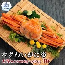 15-396 「紋太くん最中」和洋折衷15個セット（小豆餡・チョコ