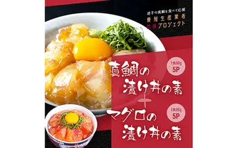 KYF116　緊急支援 海鮮「真鯛の漬け丼の素」1食80g×5P＋「マグロの漬け丼の素」1食80g×5P《迷子の真鯛を食べて応援 養殖生産業者応援プロジェクト》応援 惣菜 冷凍 保存食 小分け 高知 海鮮丼 一人暮らし〈高知市共通返礼品〉