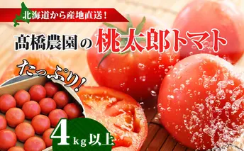 北海道 高橋農園 桃太郎トマト 4kg以上 M~Lサイズ (18玉~24玉) 5月下旬~9月上旬お届け 大玉トマト tomato 産地直送 農家直送 新鮮 野菜 安心 安全 とれたて 完熟 洞爺湖町 送料無料