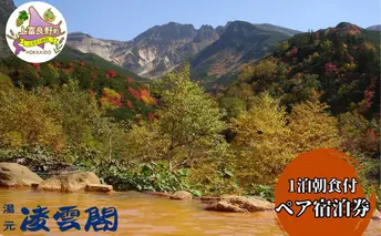 湯元凌雲閣 【 1泊朝食付 】 ペア 宿泊券 ホテル 旅館 旅行券 北海道 上富良野町 十勝岳