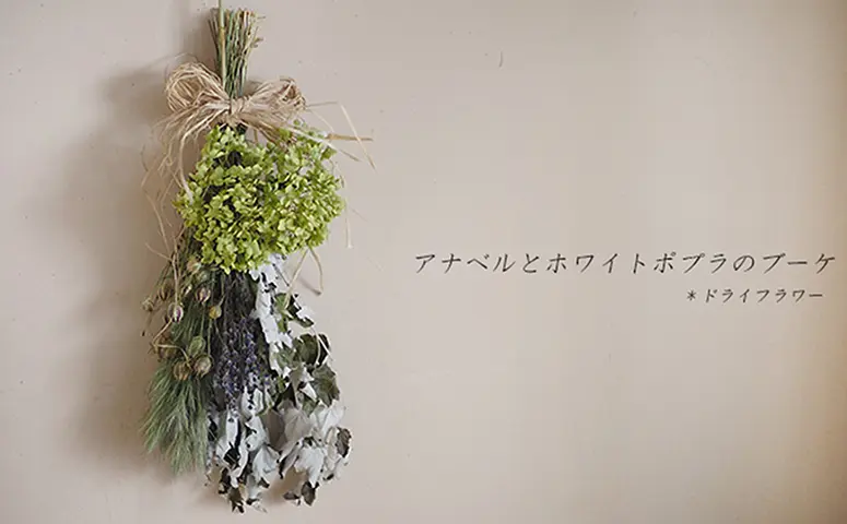 アナベルとホワイトポプラのブーケ【富良野 花七曜 】 植物 ドライ