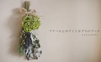 アナベルとホワイトポプラのブーケ【富良野 花七曜 】 植物 ドライフラワー インテリア
