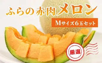 【2026年発送】ふらの 赤肉メロン 厳選 甘味 Mサイズ 1.35kg~1.6kg 6玉 セット ファーム富良野 メロン めろん 富良野メロン 果物 くだもの フルーツ 富良野 デザート 北海道 先行受付 北海道上富良野町