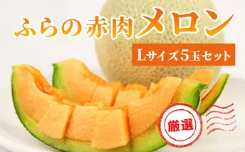 【 2026年発送 先行予約 】ふらの 赤肉メロン 厳選 甘味 Lサイズ 1.6kg～1.9kg 5玉 セット ファーム富良野 メロン めろん 富良野メロン 果物 くだもの フルーツ 富良野 デザート 北海道 北海道上富良野町 