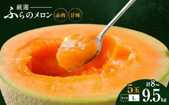 【令和8年産】ふらの 赤肉メロン 厳選 甘味 Lサイズ 1.6kg～1.9kg 5玉 セット ファーム富良野 メロン めろん 富良野メロン 果物 くだもの フルーツ 富良野 デザート 北海道 北海道上富良野町 