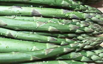 地元富良野産グリーンアスパラ1kg（M・L混合） アスパラガス 野菜 グリーンアスパラガス 
