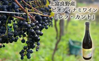 上富良野産ビオディナミワイン「レラ・カント」 赤ワイン お酒 瓶 ぶどう ブドウ 