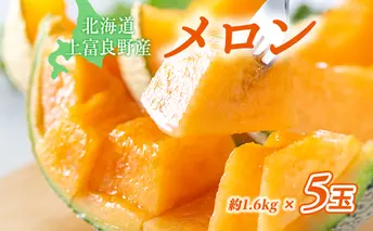 【2024年発送】かみふらの 赤肉メロン 約1.6kg 5玉 セット 北海道 上富良野町 メロン 先行予約 令和6年発送 果物類 フルーツ メロン赤肉 