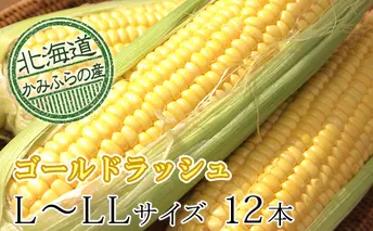 朝採りとうもろこし【ゴールドラッシュ】L～LL 10本セット≪北海道上富良野町産≫ 野菜 トウモロコシ 
