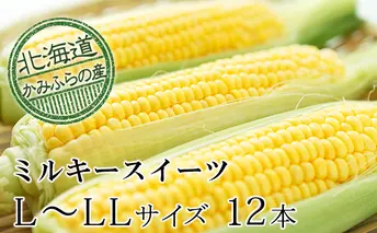 朝採りとうもろこし【ミルキースイーツ】L～LL 10本セット≪北海道上富良野町産≫ 野菜 トウモロコシ 