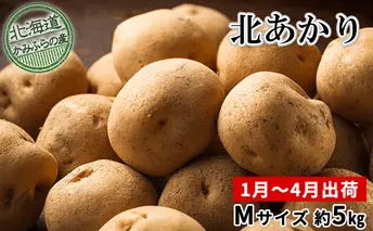 【 2025年 発送 】 先行予約 北海道 上富良野 産地直送 越冬 じゃがいも 北あかり M サイズ 約 5kg 冷蔵 発送 きたあかり ジャガイモ 芋 ポテト 野菜 